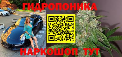 дживик Баксан