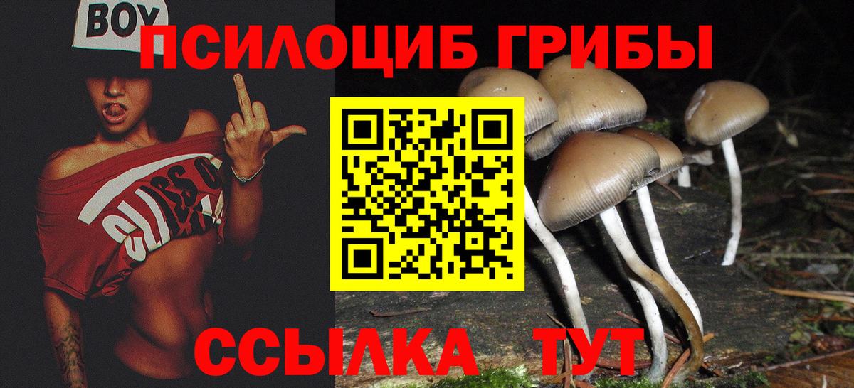 Галлюциногенные грибы Psilocybe  Вход с VPN  Галлюциногенные грибы прущие грибы  где купить наркотик  Советск 